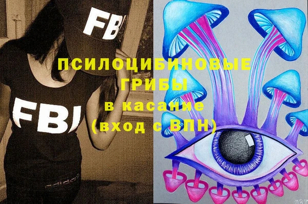 гидра Богородск