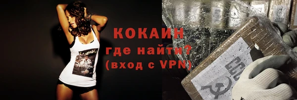 гидра Богородск