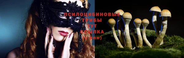 бошки Белоозёрский