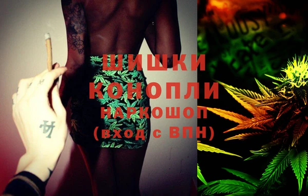 спайс Богданович